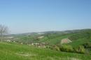 colline Vezzano in aprile